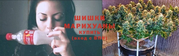 гидропоника Белоозёрский