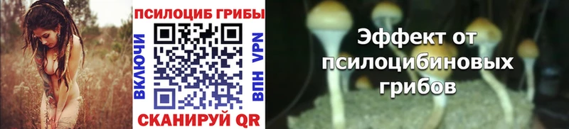 Псилоцибиновые грибы мухоморы Кукмор
